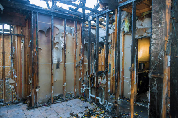Professional Smoke Damage Restoration technician working in Chester, MD